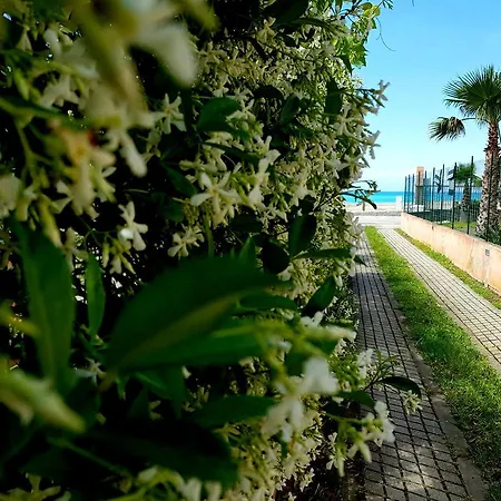 Casa La Costa Cetraro