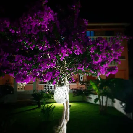 Casa La Costa Cetraro
